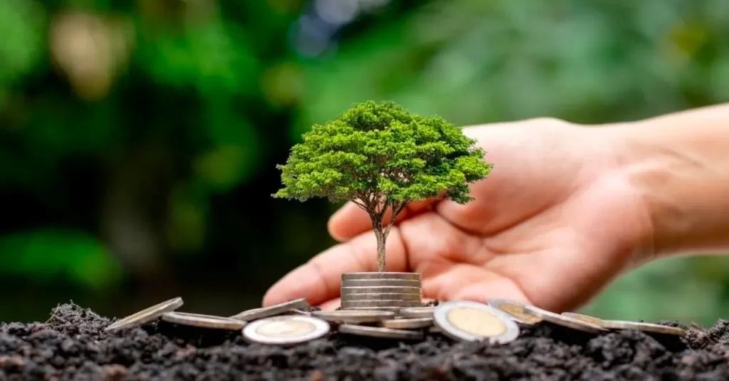 tiny tree on coins