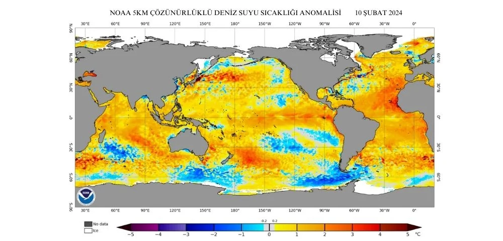 dünya deniz suyu sıcaklık anomalisi