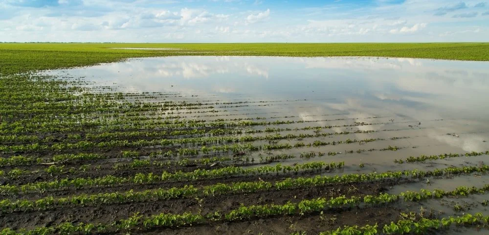 flood farm