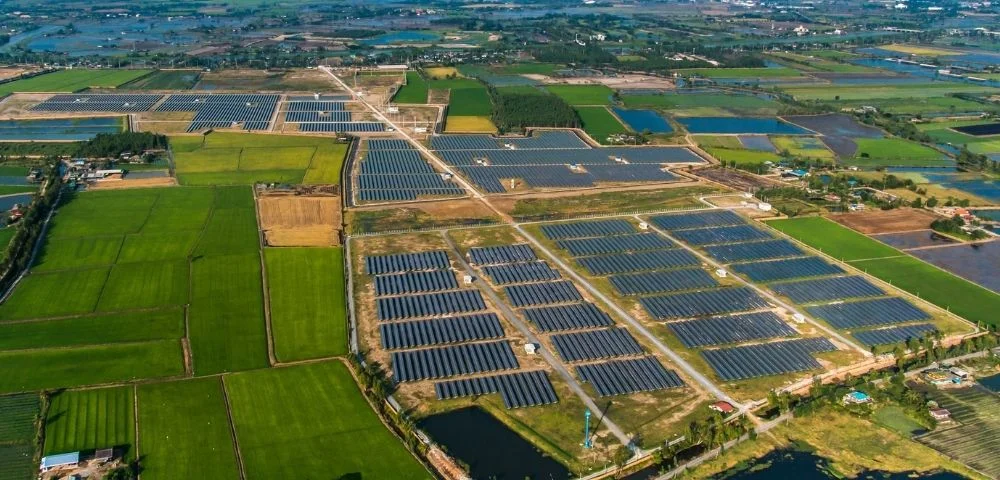 solar panel farm