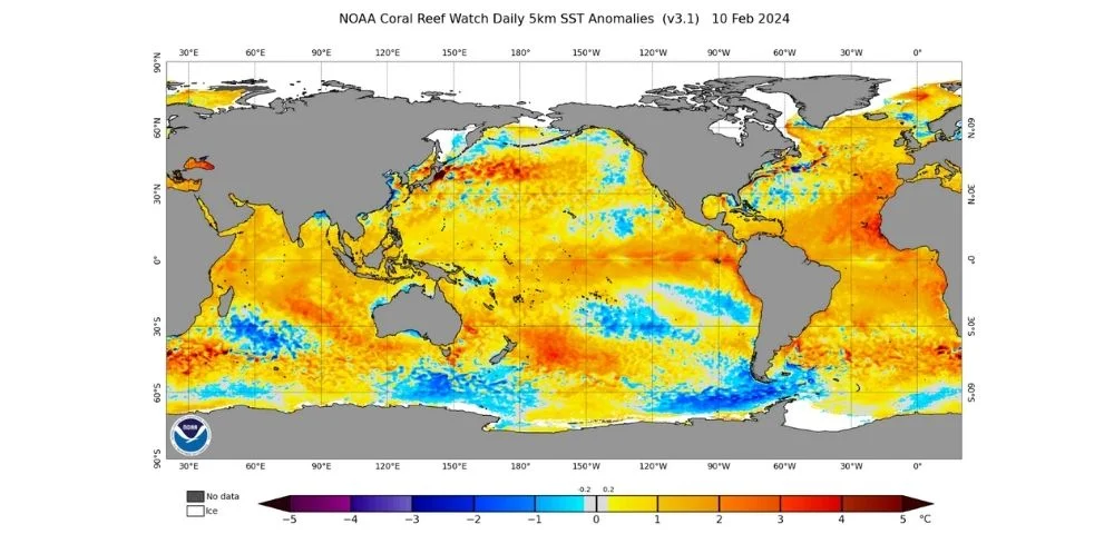 word sst anomalies