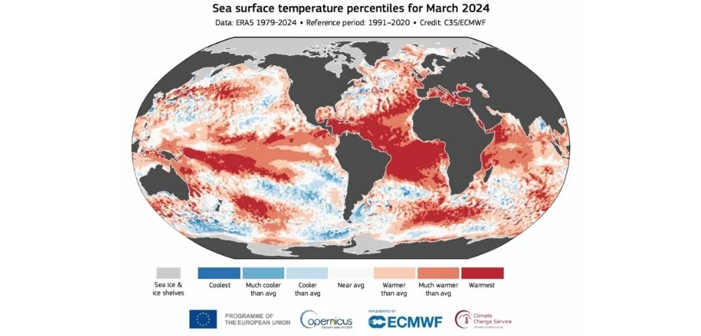 sea surface air temperature anomaly march 2024